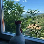 Ta Petrina Holiday home Selishte (Smolyan)