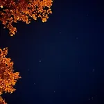 Ta Petrina Selishte (Smolyan)