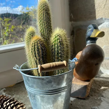 Holiday home Ta Petrina