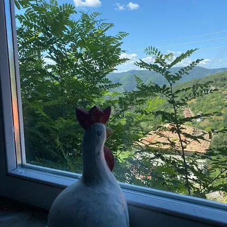 Ta Petrina Vakantiehuis Selishte (Smolyan)
