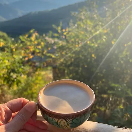 Feriehus Ta Petrina Selishte (Smolyan)