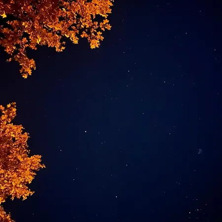 Ta Petrina Selishte (Smolyan)