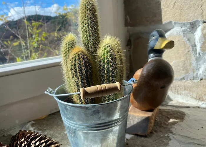 Holiday home Ta Petrina