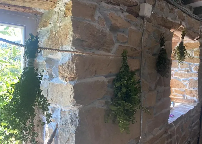 Ta Petrina Holiday home Selishte (Smolyan)