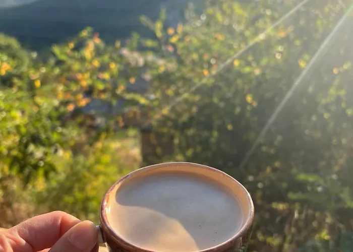 Holiday home Ta Petrina Selishte (Smolyan)