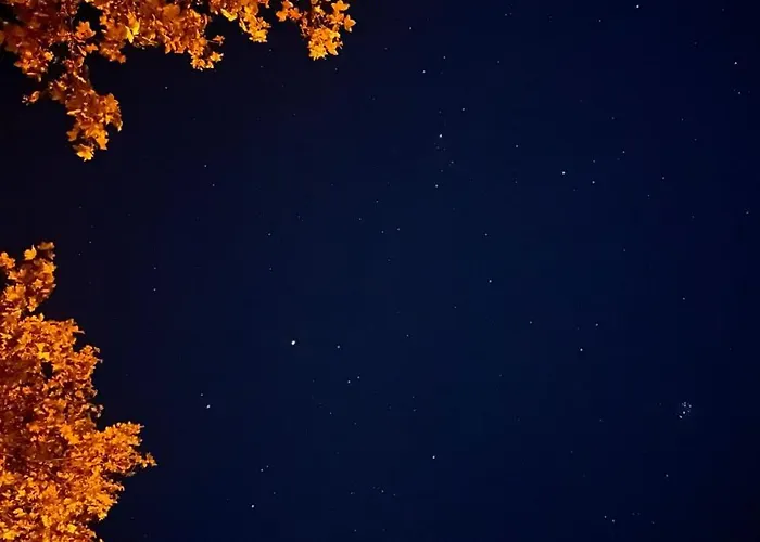 Ta Petrina Selishte (Smolyan)