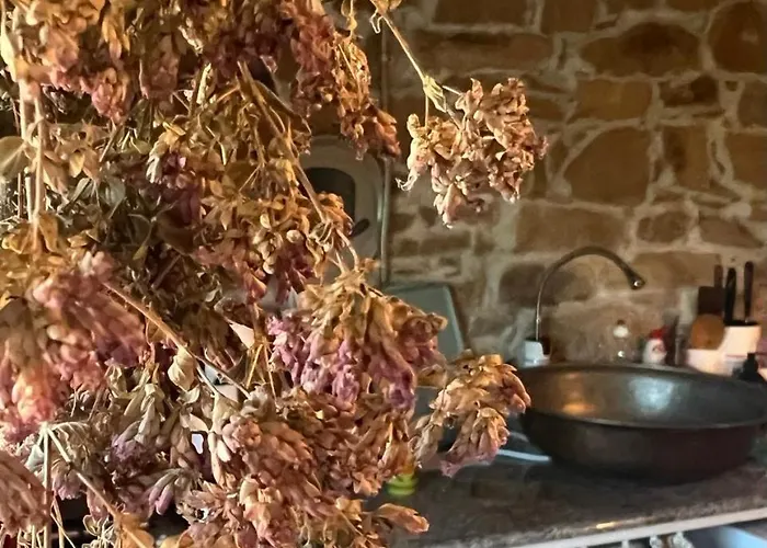 Holiday home Ta Petrina *